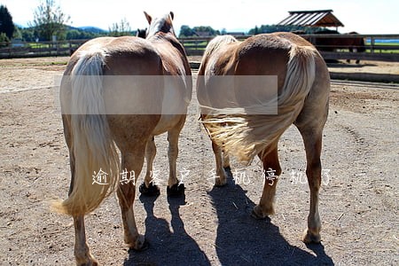 逾期客户手机停机了 逾期客户手机停机了