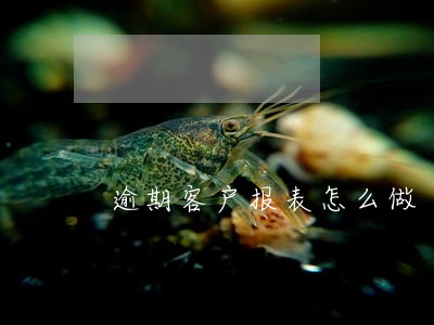 逾期客户报表怎么做 逾期客户报表怎么做