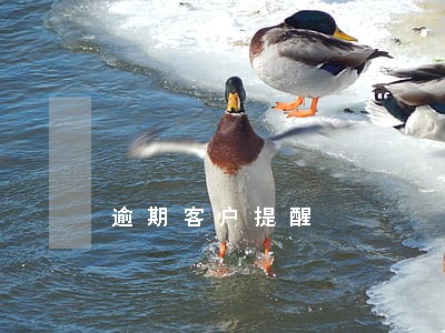 逾期客户提醒 逾期客户提醒