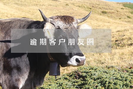 逾期客户朋友圈 逾期客户朋友圈