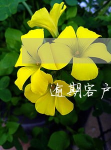 逾期客户核销 逾期客户核销