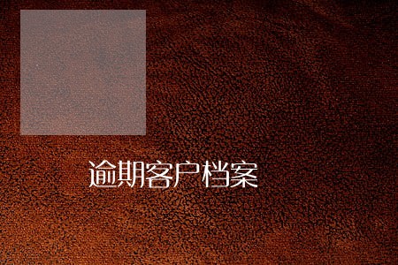 逾期客户档案 逾期客户档案