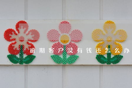 逾期客户没有钱还怎么办 逾期客户没有钱还怎么办