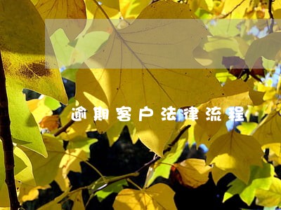 逾期客户法律流程 逾期客户法律流程