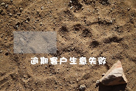 逾期客户生意失败 逾期客户生意失败