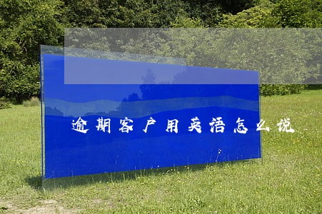 逾期客户用英语怎么说 逾期客户用英语怎么说