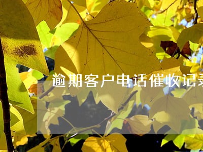 逾期客户电话催收记录表 逾期客户电话催收记录表