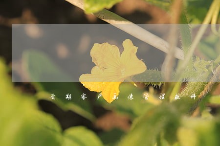逾期客户画像管理软件 逾期客户画像管理软件