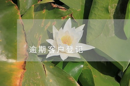 逾期客户登记 逾期客户登记