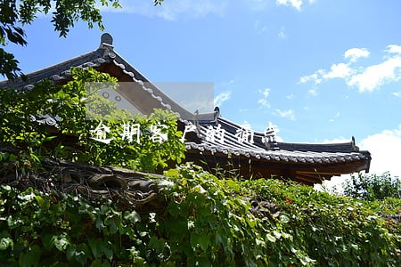 逾期客户的痛点 逾期客户的痛点