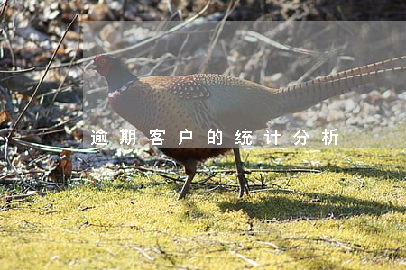 逾期客户的统计分析 逾期客户的统计分析