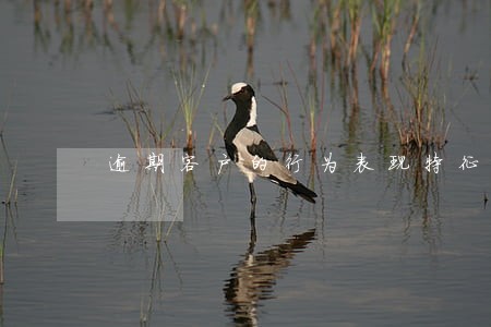 逾期客户的行为表现特征 逾期客户的行为表现特征