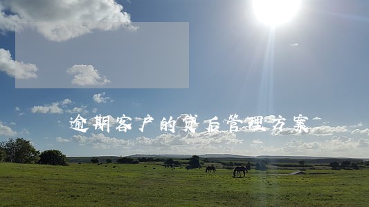 逾期客户的贷后管理方案 逾期客户的贷后管理方案