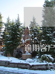 逾期客户的跟进催收技巧 逾期客户的跟进催收技巧