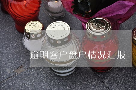 逾期客户盘户情况汇报 逾期客户盘户情况汇报