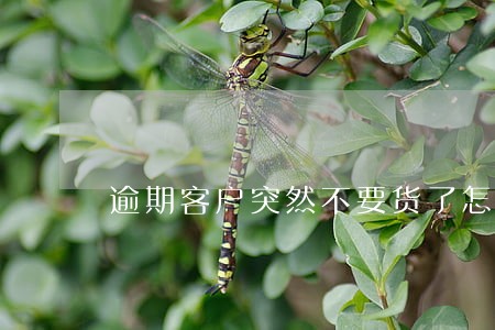逾期客户突然不要货了怎么办 逾期客户突然不要货了怎么办