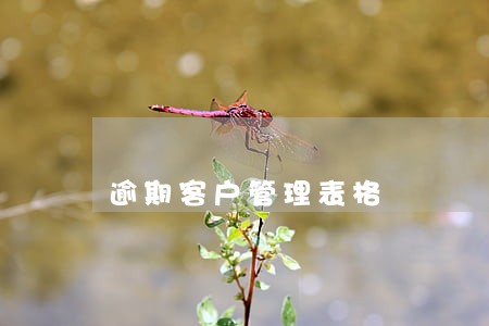 逾期客户管理表格 逾期客户管理表格