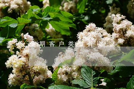 逾期客户类型有哪些 逾期客户类型有哪些