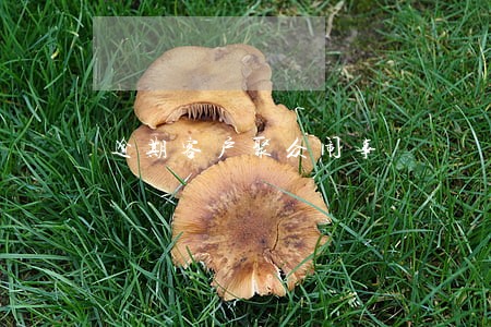 逾期客户聚众闹事 逾期客户聚众闹事