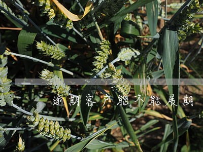 逾期客户能不能展期 逾期客户能不能展期