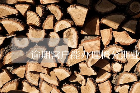 逾期客户能办理橙分期业务吗 逾期客户能办理橙分期业务吗