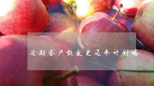 逾期客户能变更还本计划吗