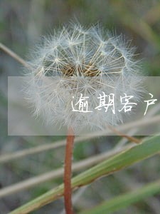 逾期客户能否办理贷款贷款三查 逾期客户能否办理贷款贷款三查