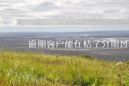 逾期客户能在桔子分期过吗 逾期客户能在桔子分期过吗