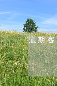 逾期客户能扣划定期吗 逾期客户能扣划定期吗