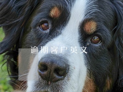 逾期客户英文 逾期客户英文