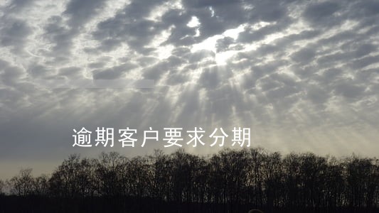 逾期客户要求分期 逾期客户要求分期