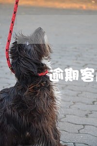 逾期客户要讲信誉 逾期客户要讲信誉