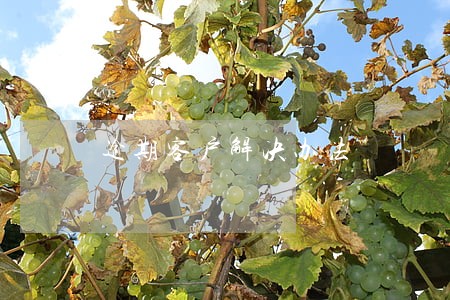 逾期客户解决办法 逾期客户解决办法