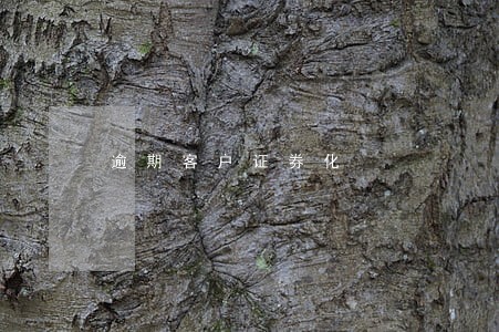 逾期客户证券化 逾期客户证券化