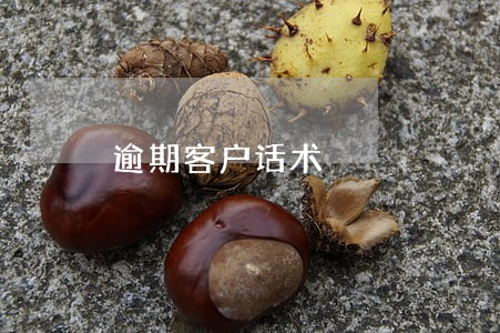 逾期客户话术 逾期客户话术