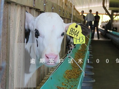 逾期客户话术100句 逾期客户话术100句