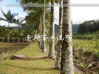逾期客户说明 逾期客户说明