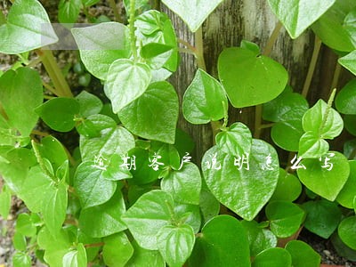 逾期客户说明怎么写 逾期客户说明怎么写