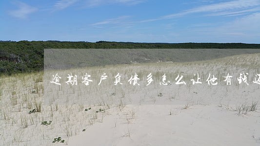 逾期客户负债多怎么让他有钱还 逾期客户负债多怎么让他有钱还