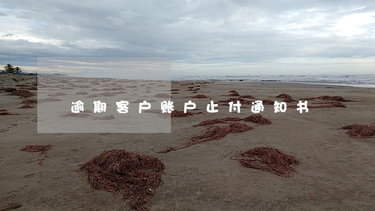 逾期客户账户止付通知书 逾期客户账户止付通知书