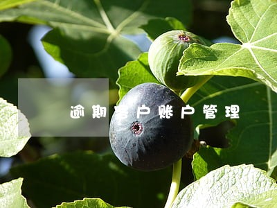 逾期客户账户管理 逾期客户账户管理