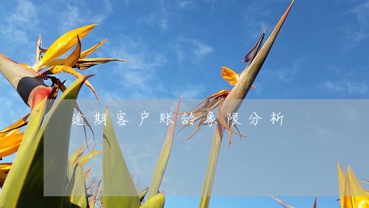 逾期客户账龄象限分析 逾期客户账龄象限分析