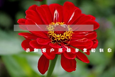 逾期客户质疑本金和利息