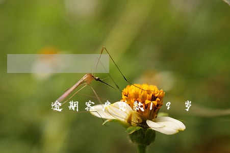 逾期客户贷款19岁 逾期客户贷款19岁