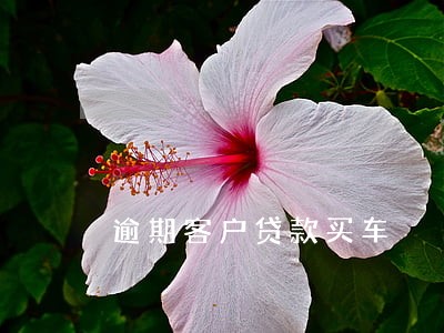 逾期客户贷款买车 逾期客户贷款买车