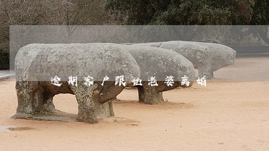 逾期客户跟他老婆离婚 逾期客户跟他老婆离婚