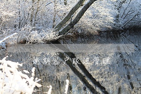 逾期客户跟进管理 逾期客户跟进管理