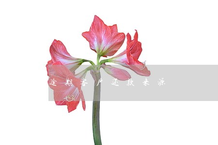 逾期客户还款来源 逾期客户还款来源