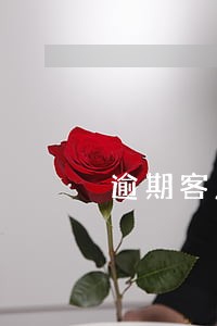 逾期客户还款能力评估 逾期客户还款能力评估