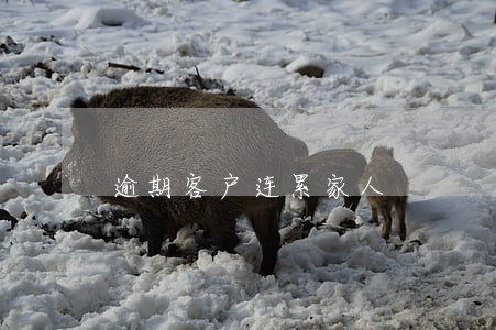 逾期客户连累家人 逾期客户连累家人